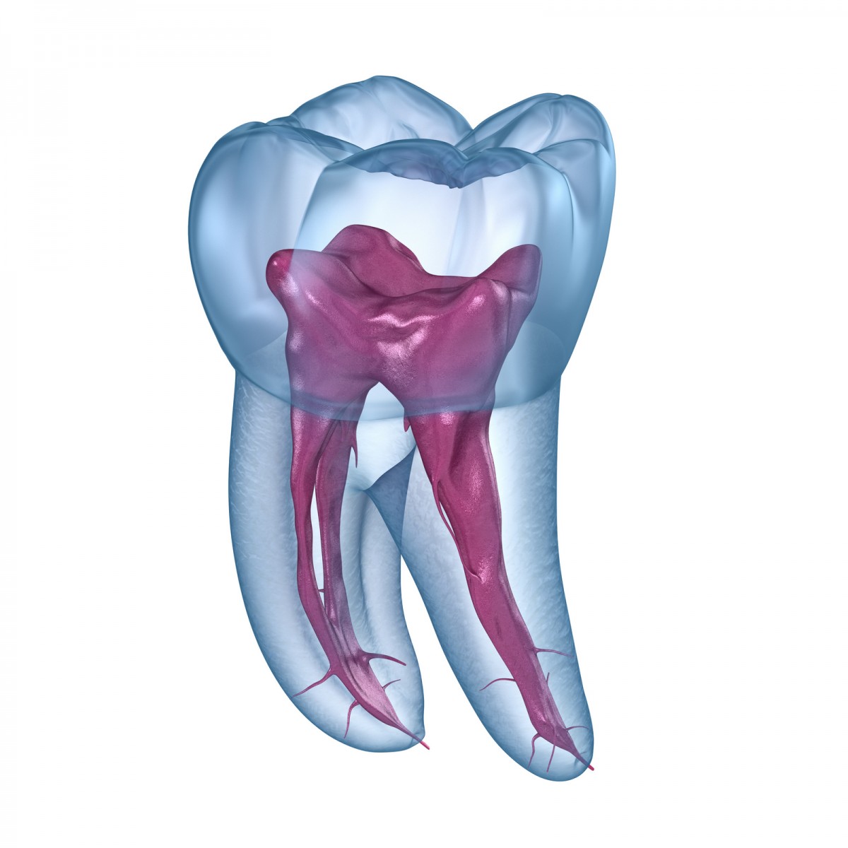 Endodonție Galați